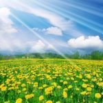 في أي فصل نحن الآن 2023 بالسعودية في أي فصل نحن الآن 2023 بالسعودية